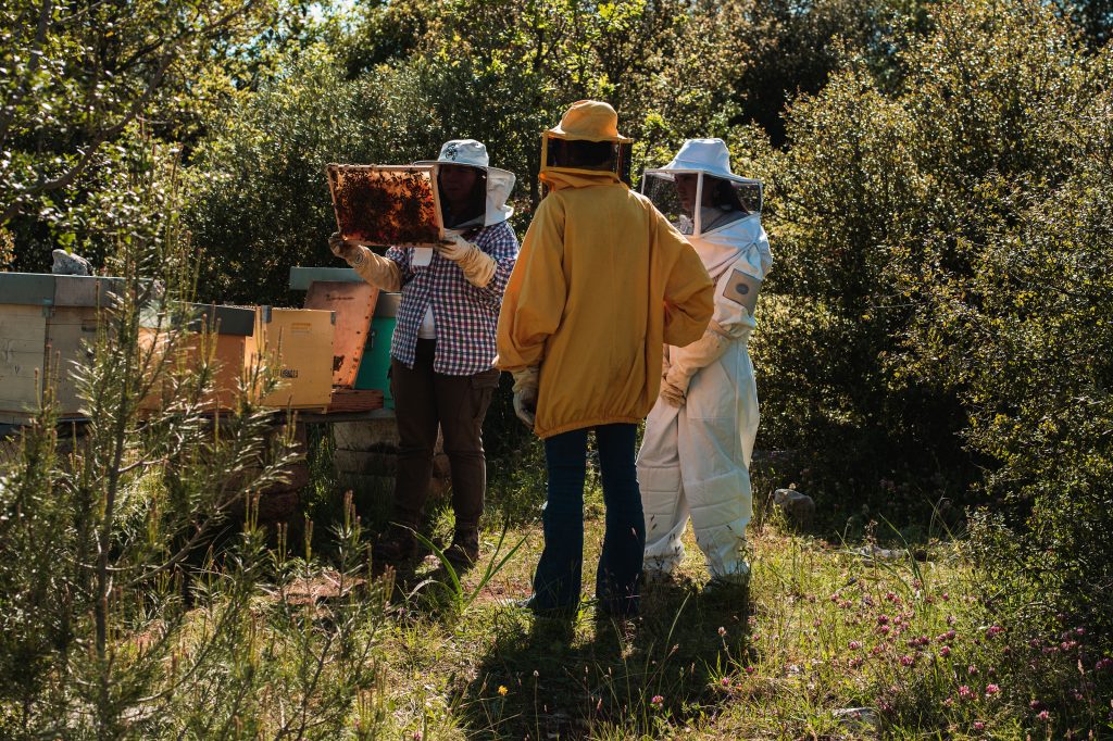 Persone con tuta da apicoltore in osservazione di un'arnia