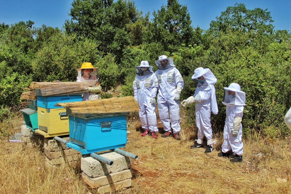 Persone con tuta da apicoltore in attesa davanti ad alcune arnie