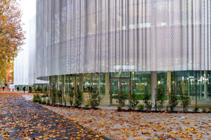 Edificio in vetro e acciaio, affacciato su una strada coperta da foglie secche